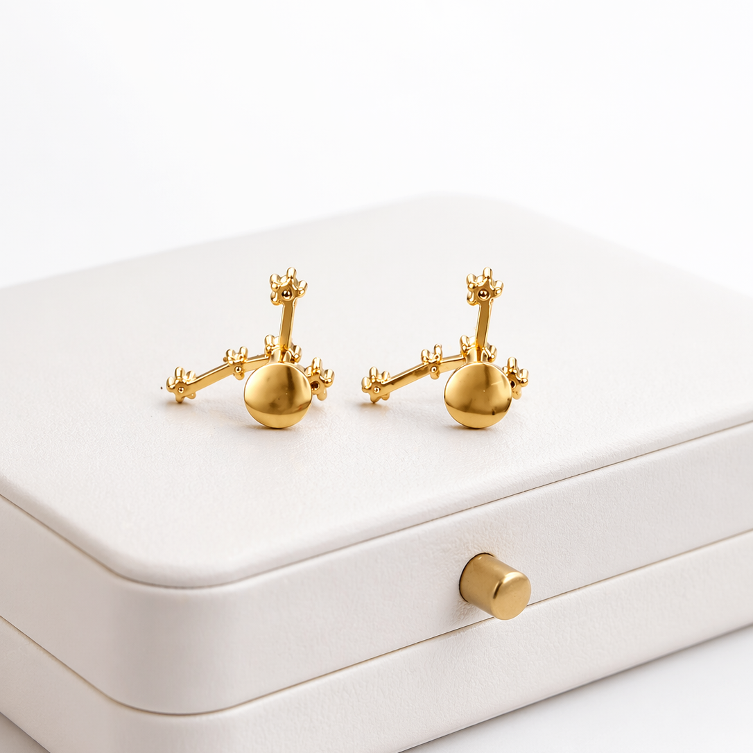 Aretes Signo Zodiacal