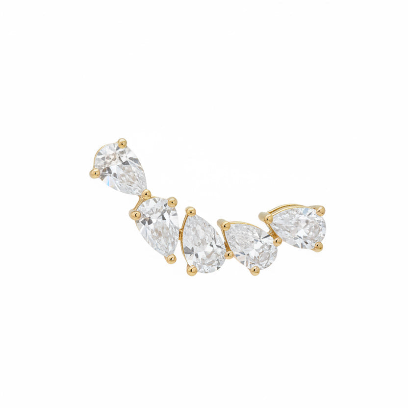 Aretes Trepadores