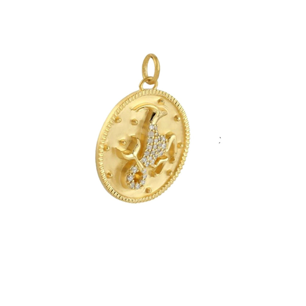Charm Capricornio