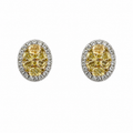 Aretes Yellow Diamond