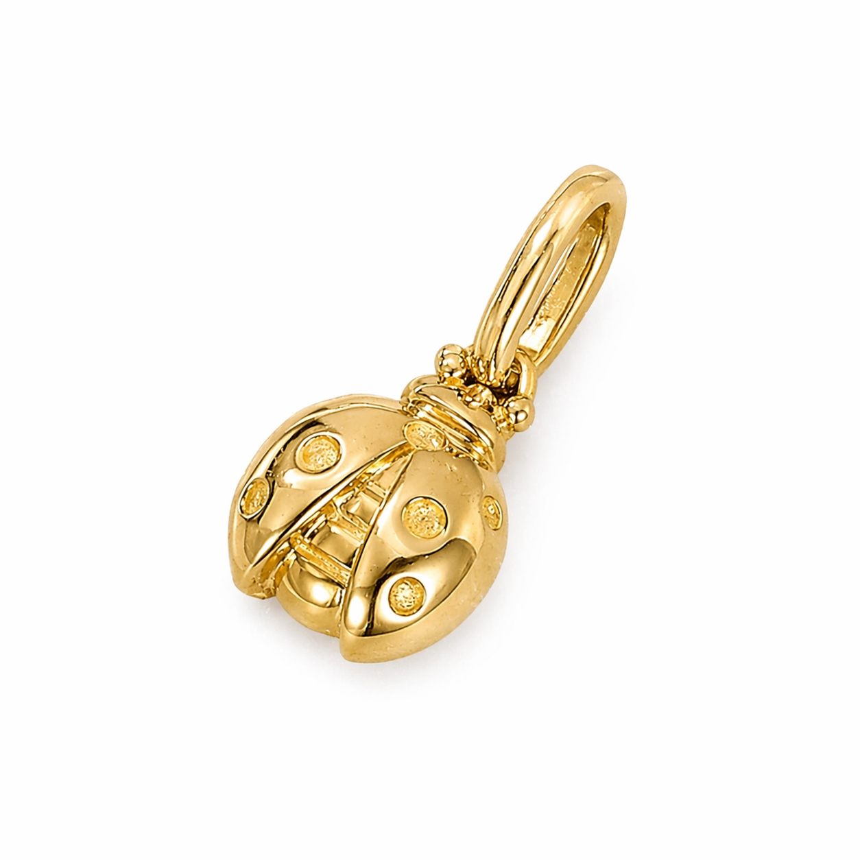 Charm Catarina