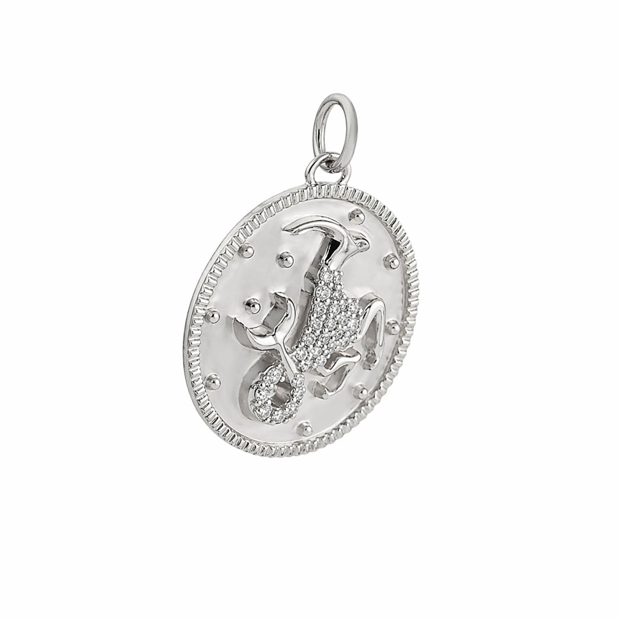 Charm Capricornio