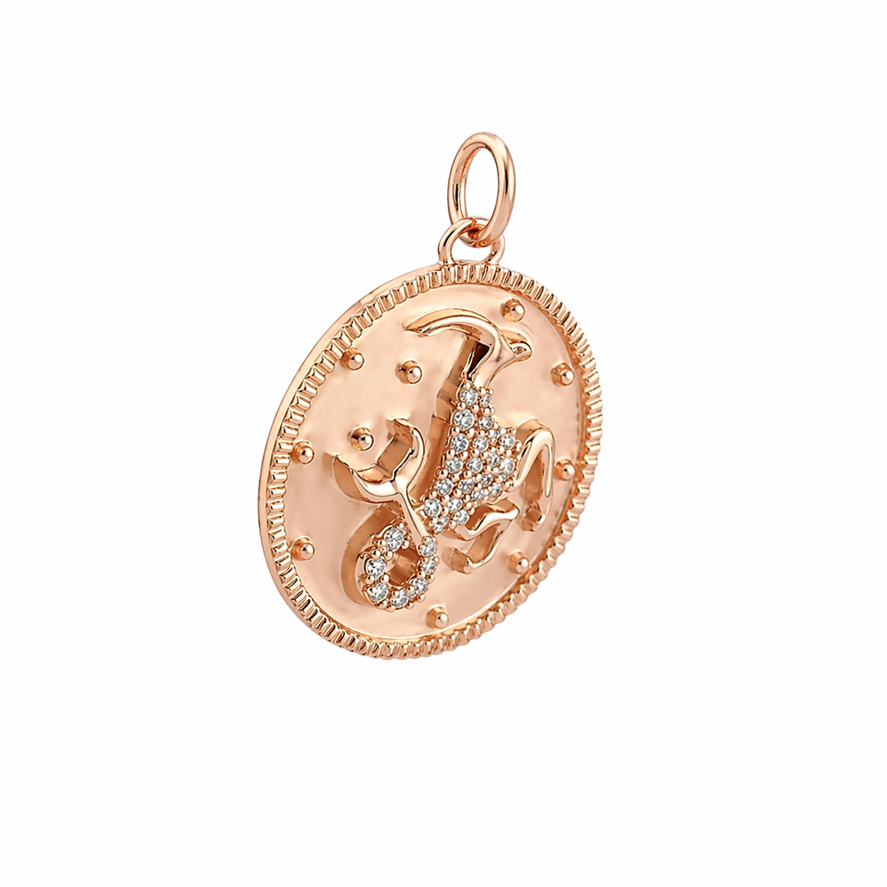 Charm Capricornio