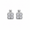 Aretes Clover